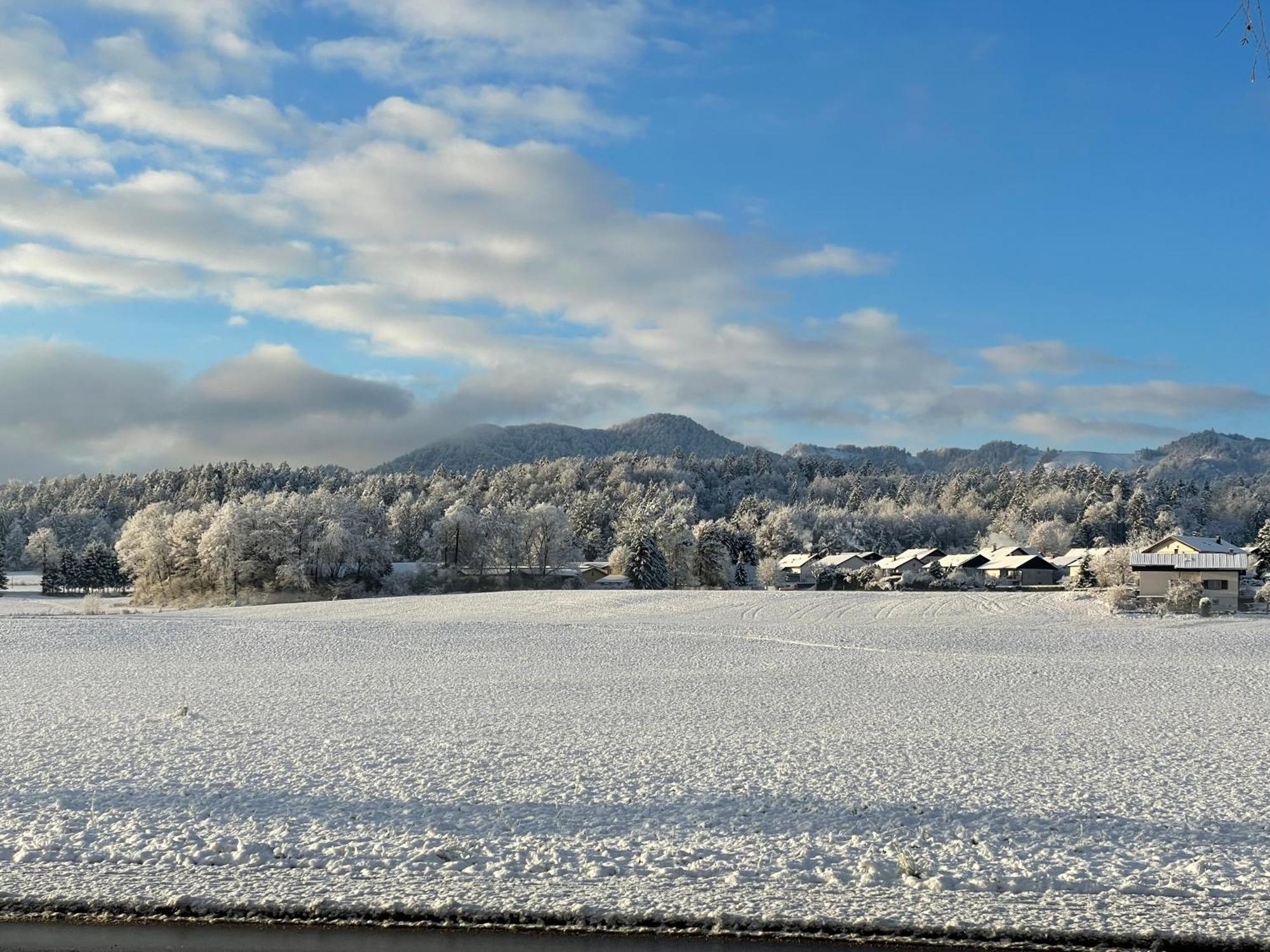 Guesthouse Stremljan Ljubljana Медводе Екстериор снимка