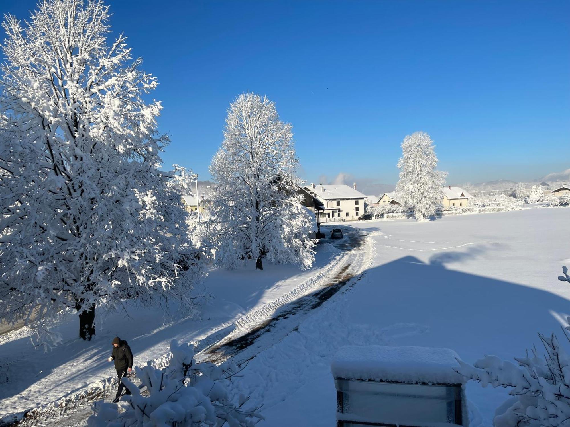 Guesthouse Stremljan Ljubljana Медводе Екстериор снимка